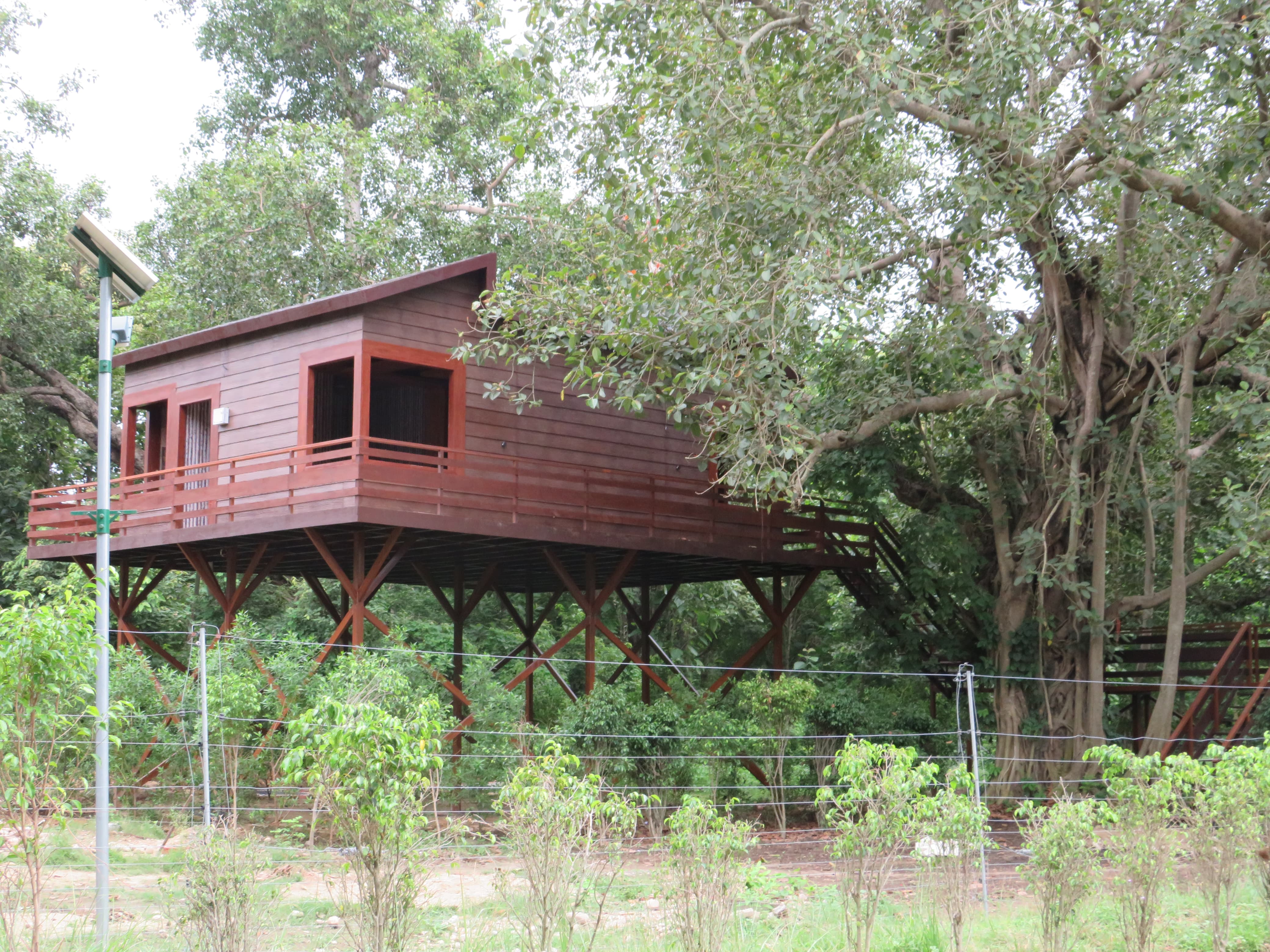 Canopy Castle